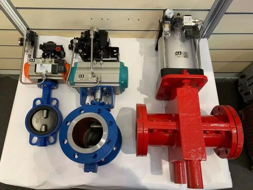 alpha氣動(dòng)閥門在蒙古國uhg選煤廠成功應(yīng)用并完美替代歐美產(chǎn)品