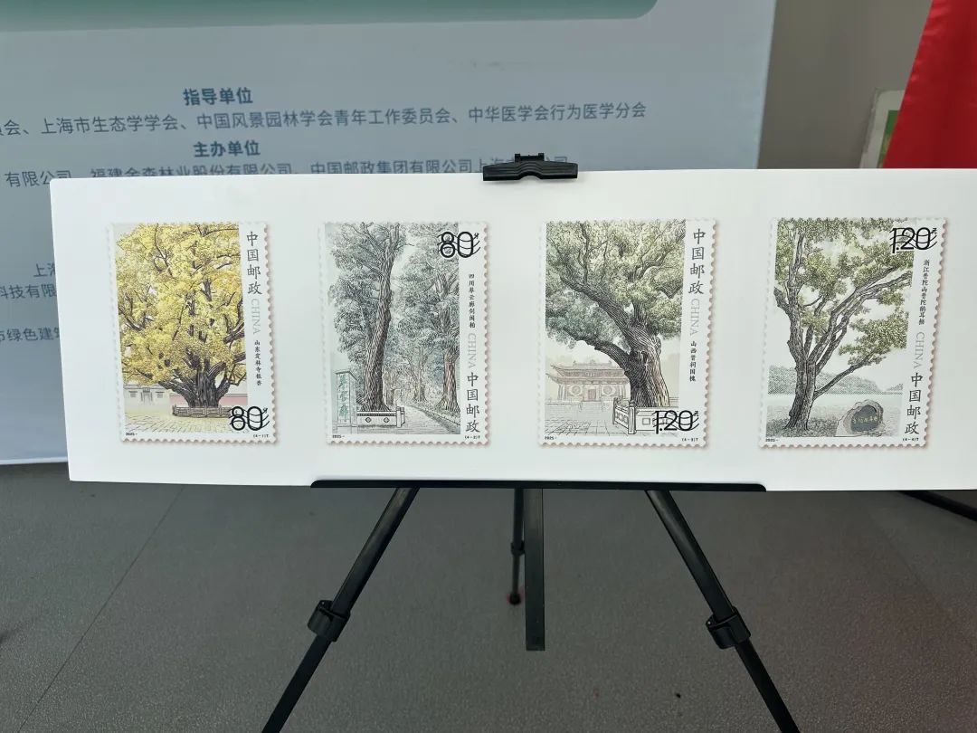 全國(guó)生態(tài)日來了！福建金森攜手舉辦上海“山海同普·杏好有你”活動(dòng)